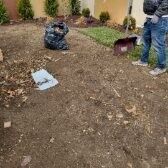 Yard Waste Cleanup in Merrick, NY (1)